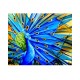  Quadro decorativo pintado a mão pavão azul 80x100